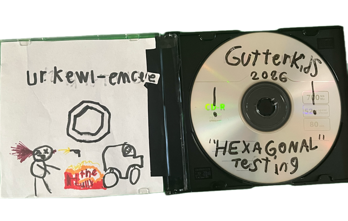 we made 2 copys to test if my blank cds work so we put the instrumentals on it!
